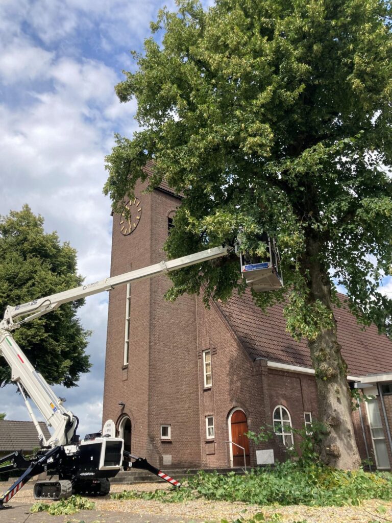 Monumentale lindebomen gesnoeid bij de Bronkerk in Ugchelen door Leliveld Boom Service